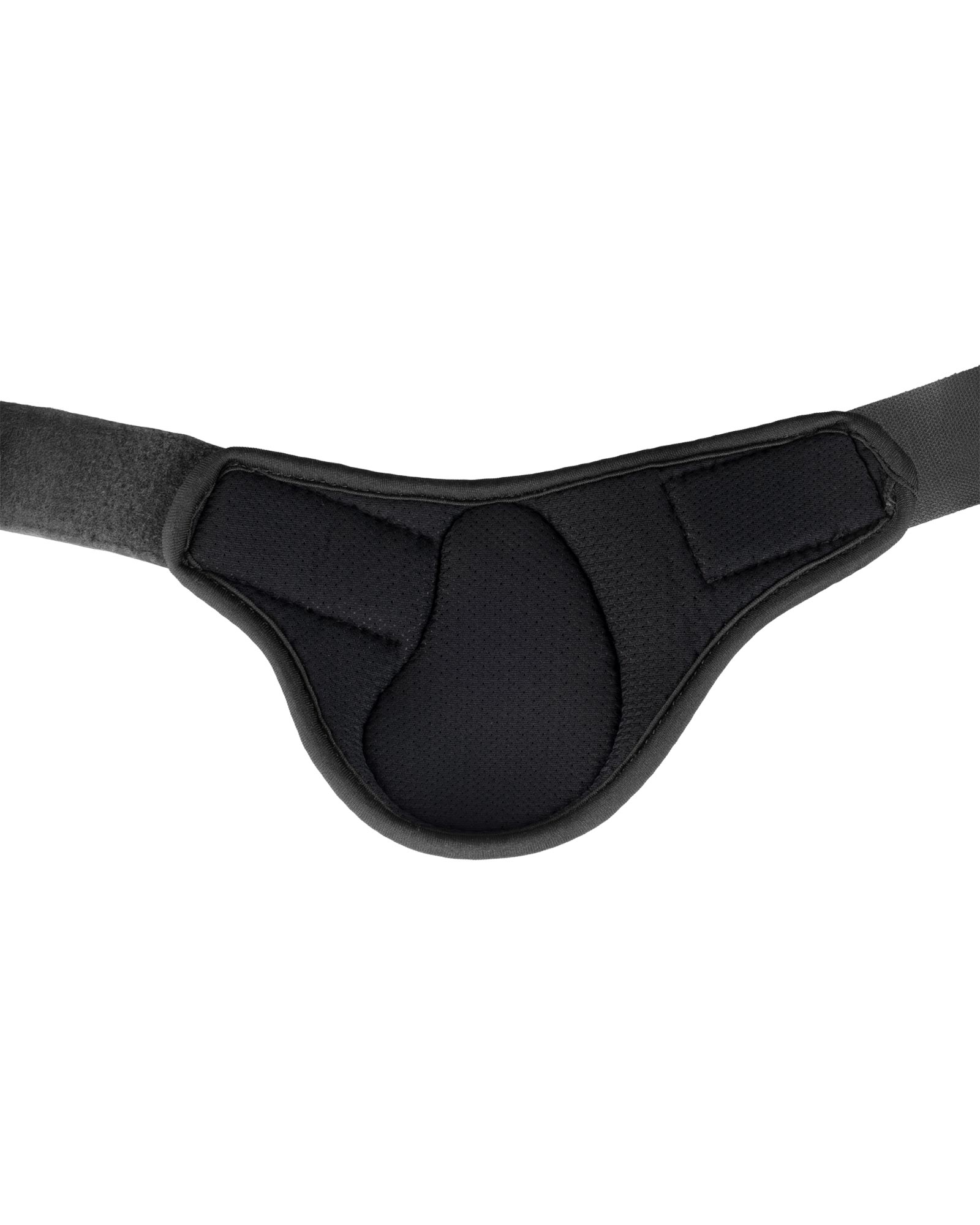 Skeleton Dynamic Zone Fetlock