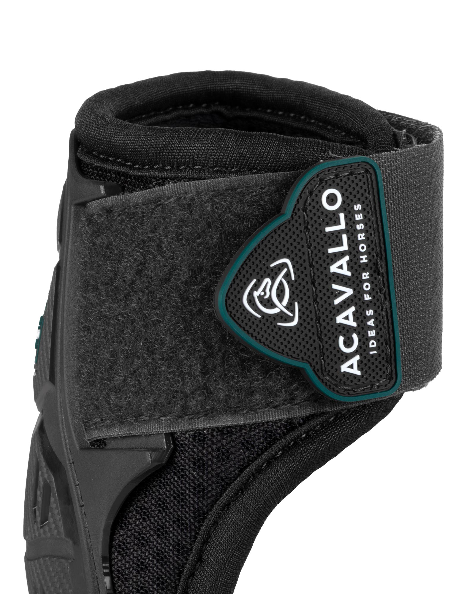 Skeleton Dynamic Zone Fetlock