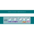 Mutandine Pants Unisex Alta protezione Maxi
