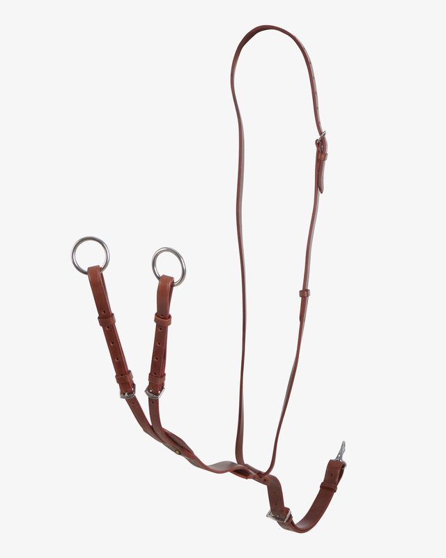 Leather adjustable buckle collier martingale