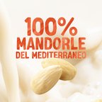ALPRO SENZA ZUCCHERI Bevanda Vegetale alla Mandorla  8x1L