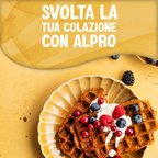 ALPRO CLASSICO Bevanda Vegetale all'Avena 8x1l