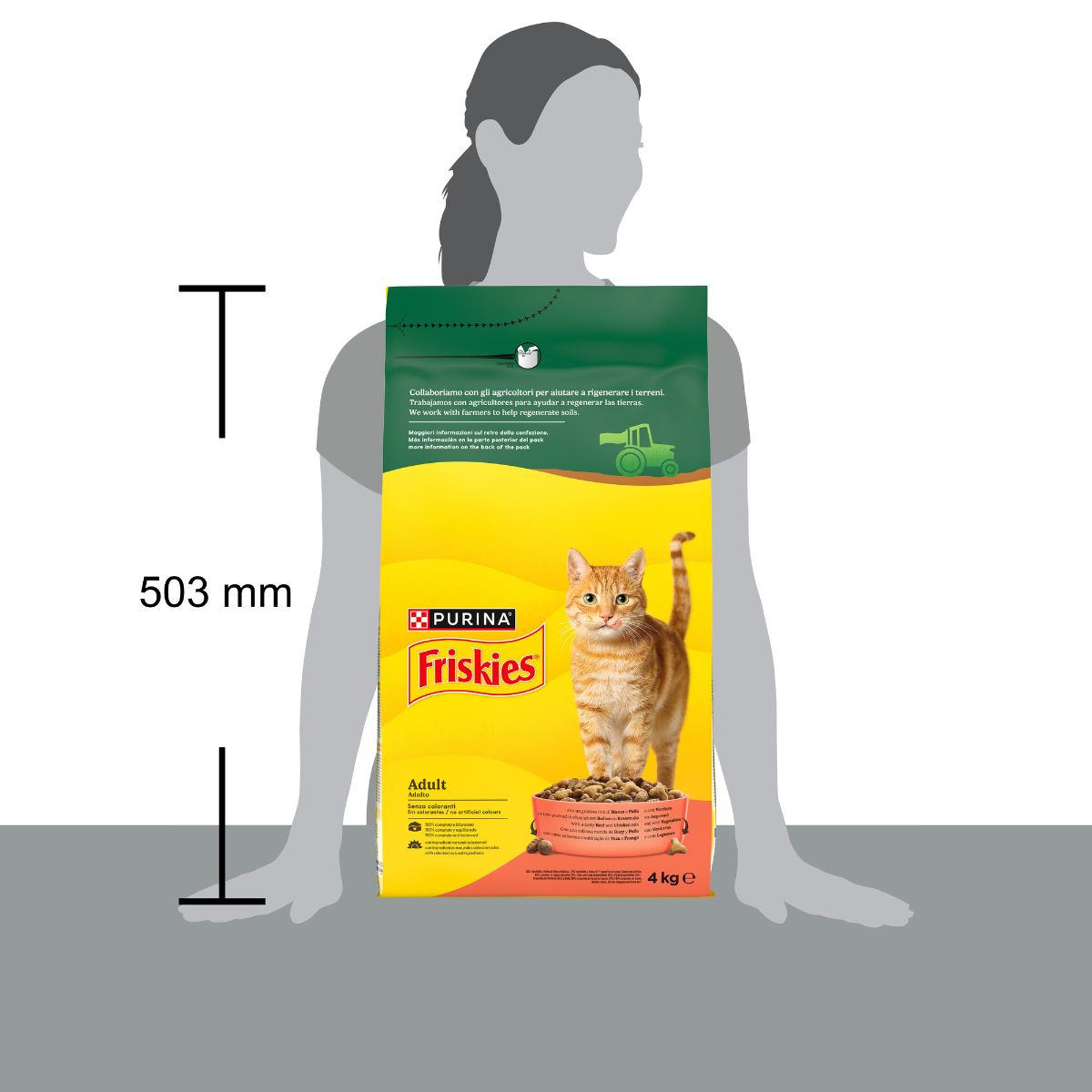 Purina Friskies® Adulto con un gustoso mix di Manzo e Pollo e con Verdure sacco 4Kg