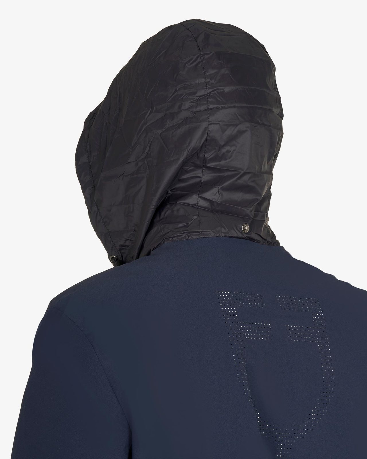 Men's softshell jacket with back logo