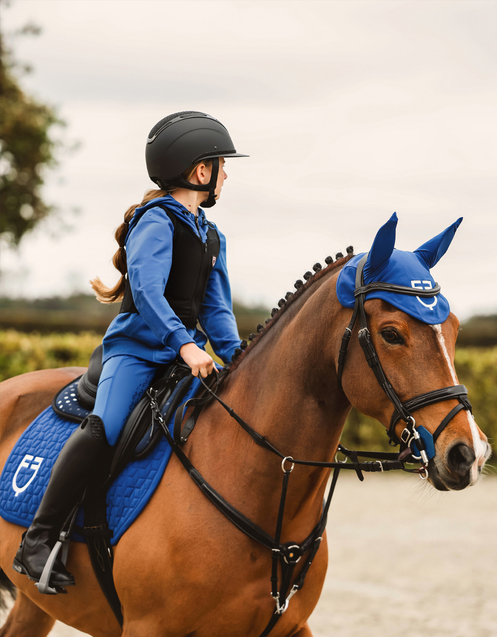 Cavallo