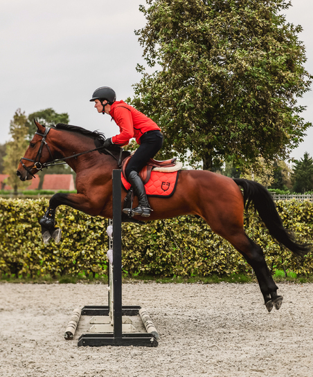 Collezione SS 26 Cavallo
