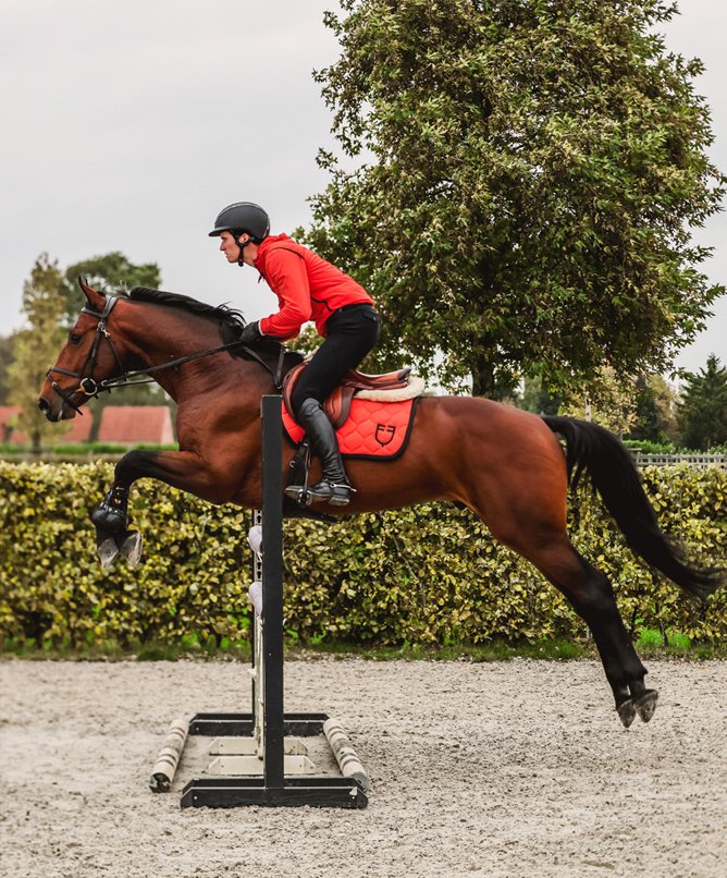 horse SS26 Collection