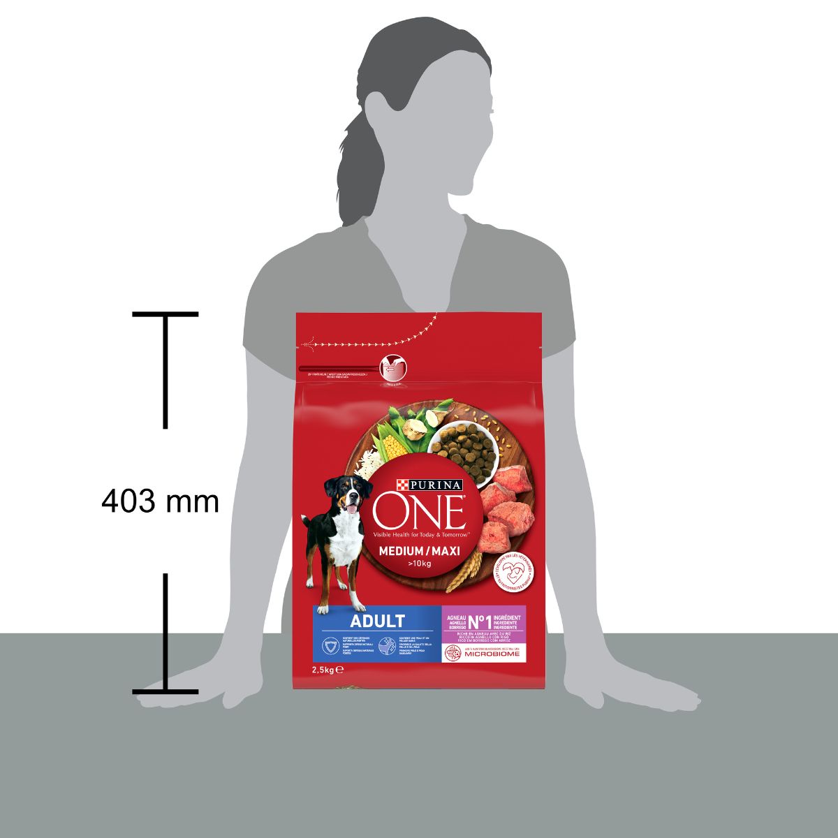 Purina ONE Medium / Maxi > 10kg Adult Ricco in Agnello con Riso