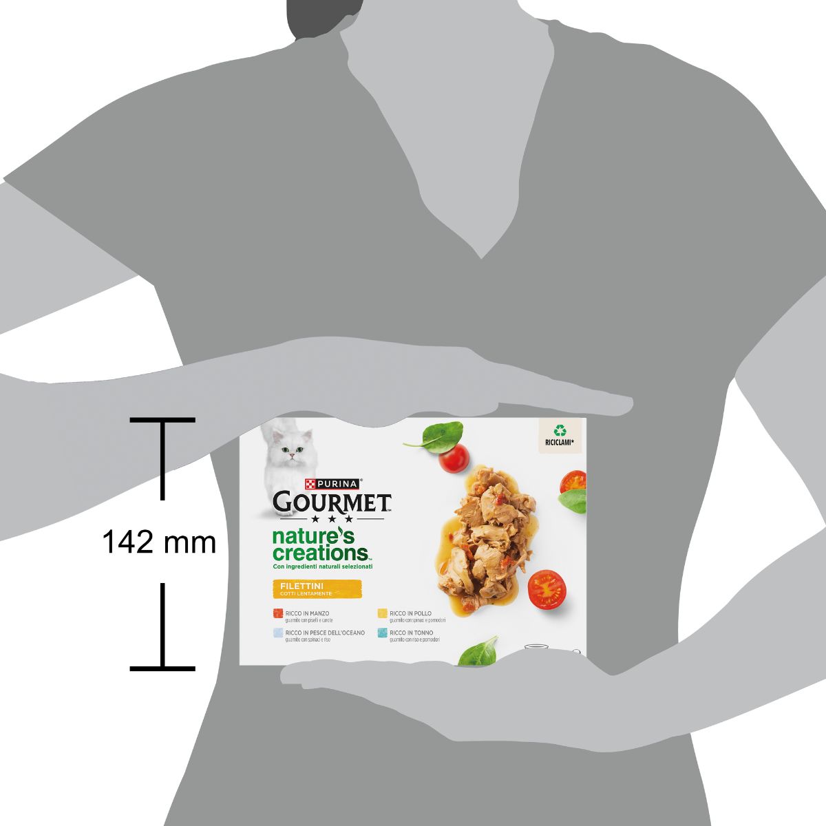 Gourmet Nature's Creations, Filettini in Salsa 24x