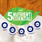 ALPRO CLASSICO Bevanda Vegetale alla Mandorla Tostata 8x1L