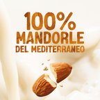 ALPRO CLASSICO Bevanda Vegetale alla Mandorla Tostata 8x1L