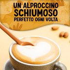 ALPRO BARISTA Bevanda Vegetale all'Avena 8x500ml
