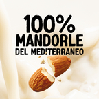 ALPRO BARISTA Bevanda Vegetale alla Mandorla 8x1l