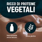 ALPRO PROTEIN 50g Bevanda Vegetale Proteica alla Soia Gusto Cioccolato 8x1l