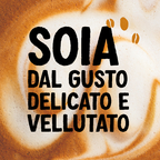 ALPRO BARISTA Bevanda Vegetale alla Soia 12x1l