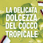 ALPRO CLASSICO Bevanda Vegetale al Matcha 8x1L