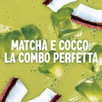 ALPRO CLASSICO Bevanda Vegetale al Matcha 8x1L