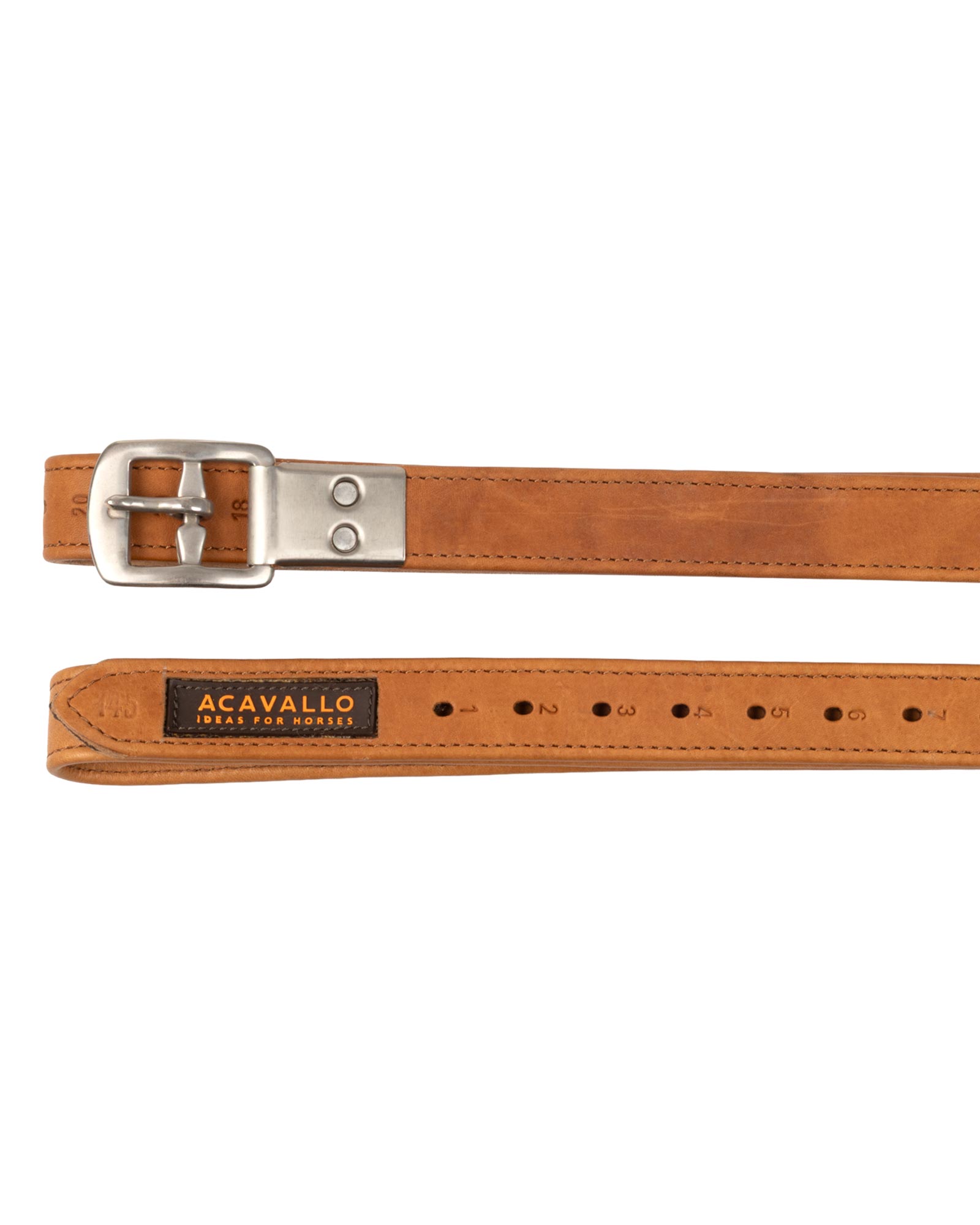 Calfskin stirrup leathers encased buckle