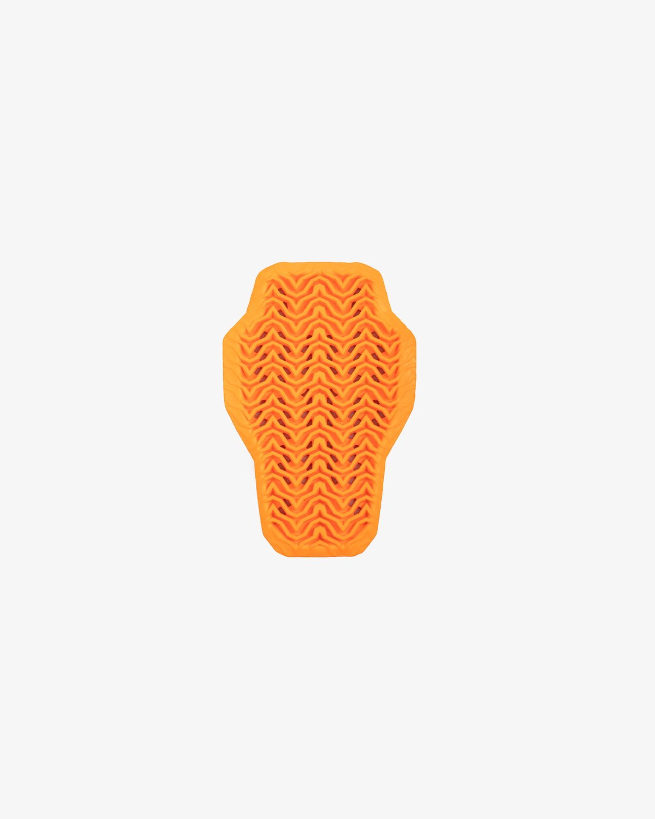 Airbag vest with level 2 back protector