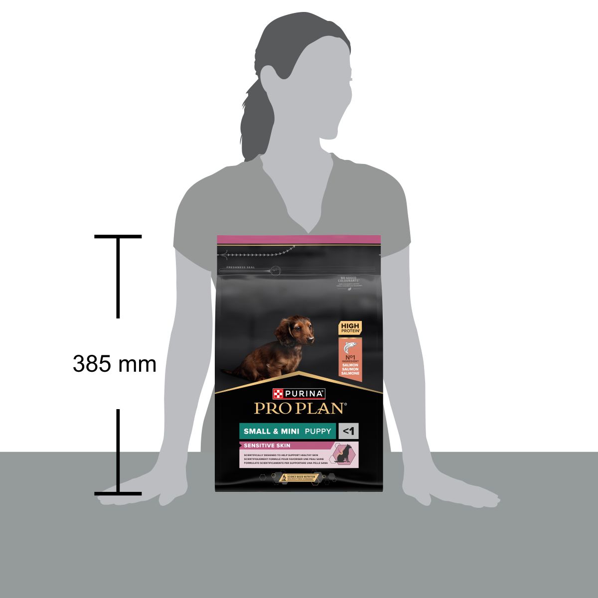 Purina Pro Plan Small & Mini Puppy Sensitive Skin Ricco In Salmone
