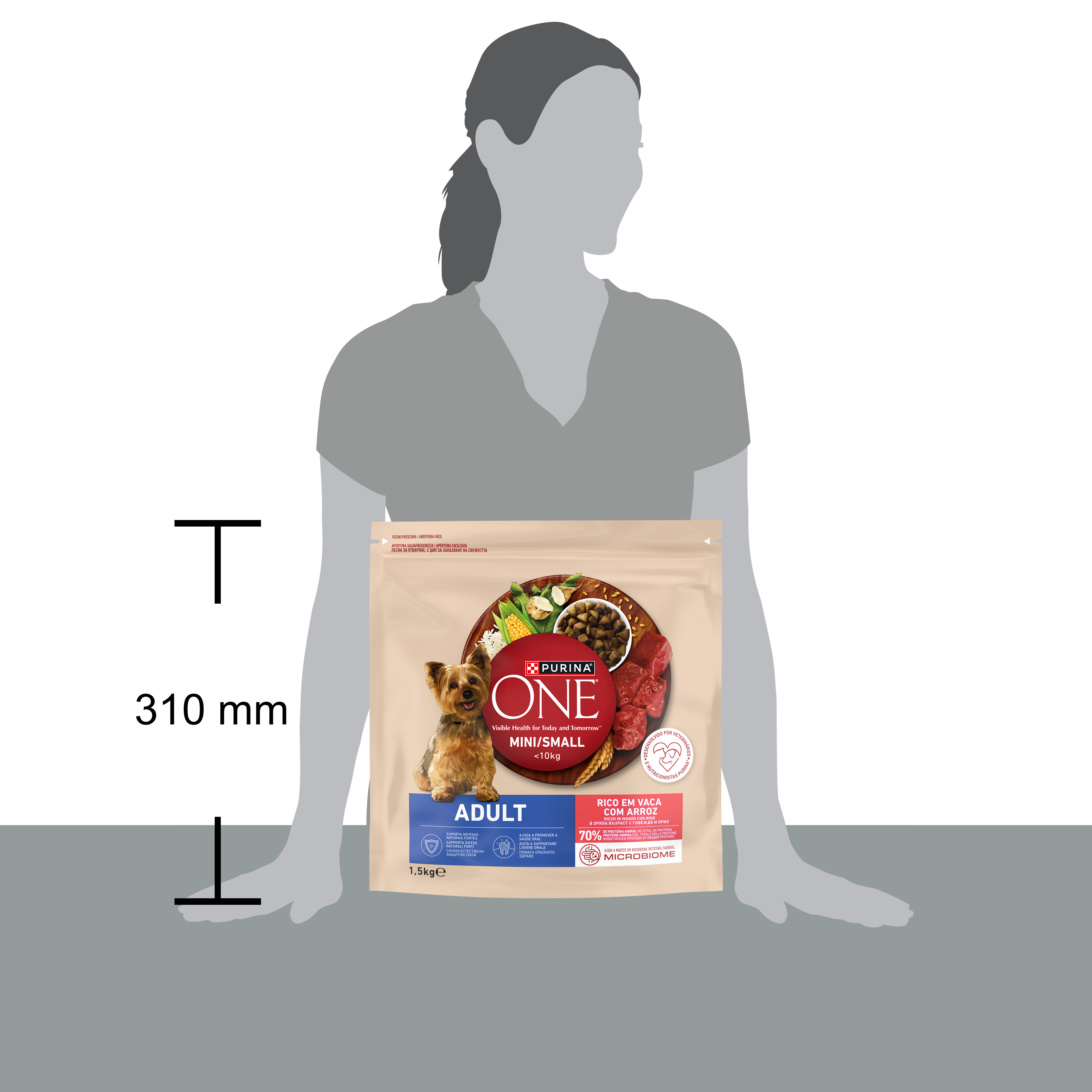 PURINA ONE® MINI/SMALL < 10kg Adult Ricco in Manzo, Con Riso