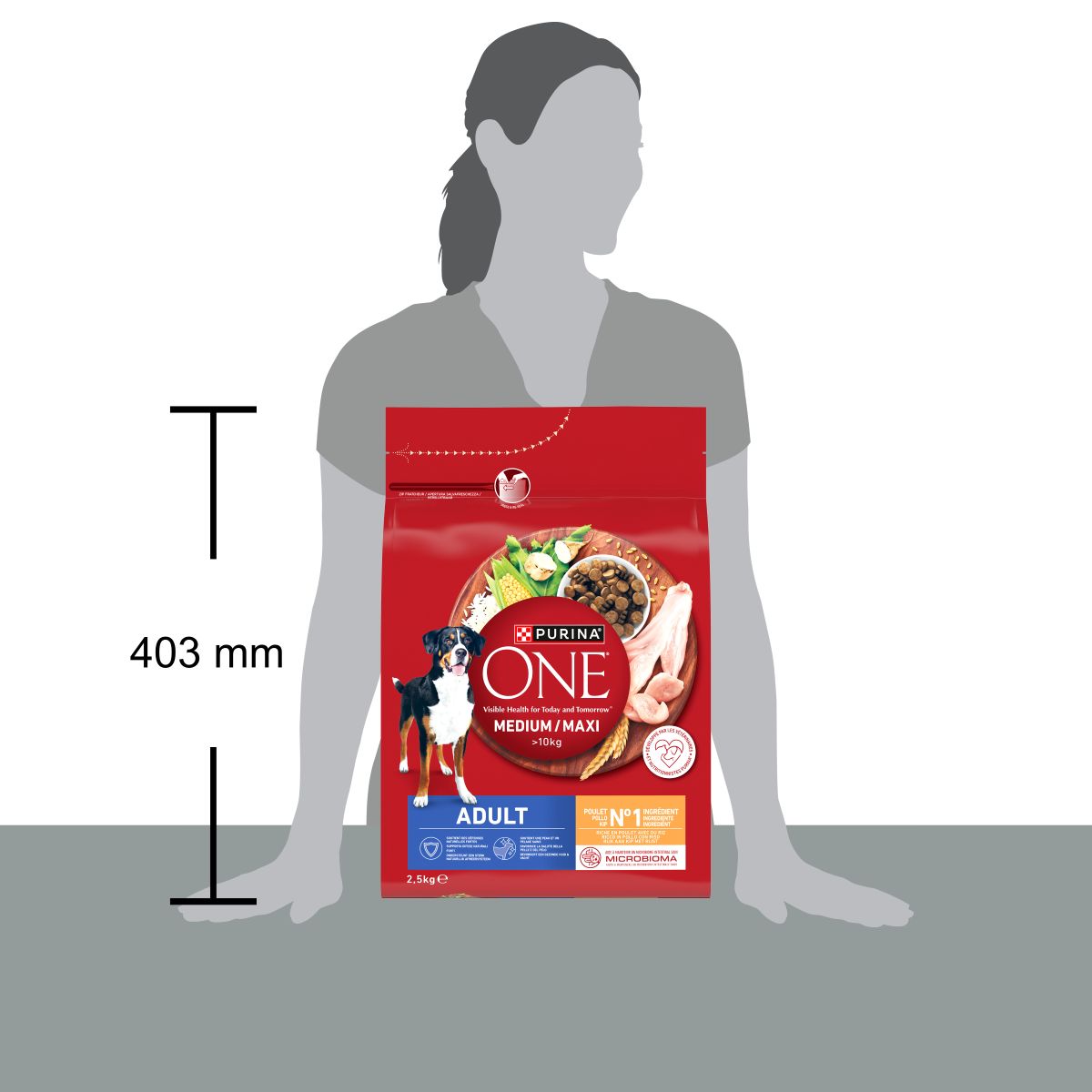 PURINA ONE® Medium / Maxi > 10kg Adult&nbsp;Ricco in&nbsp;Pollo con Riso