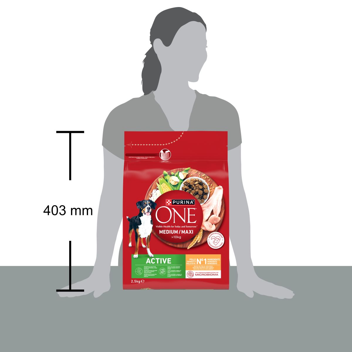 PURINA ONE®&nbsp;Medium / Maxi&nbsp;> 10kg Active Ricco in&nbsp;Pollo con Riso