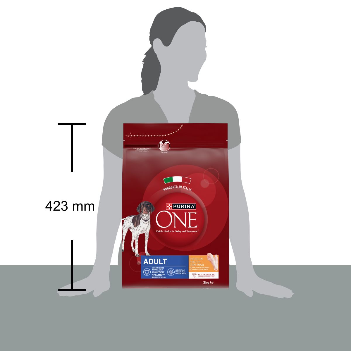 PURINA ONE® Dog Adult Ricco in&nbsp;Pollo con Riso