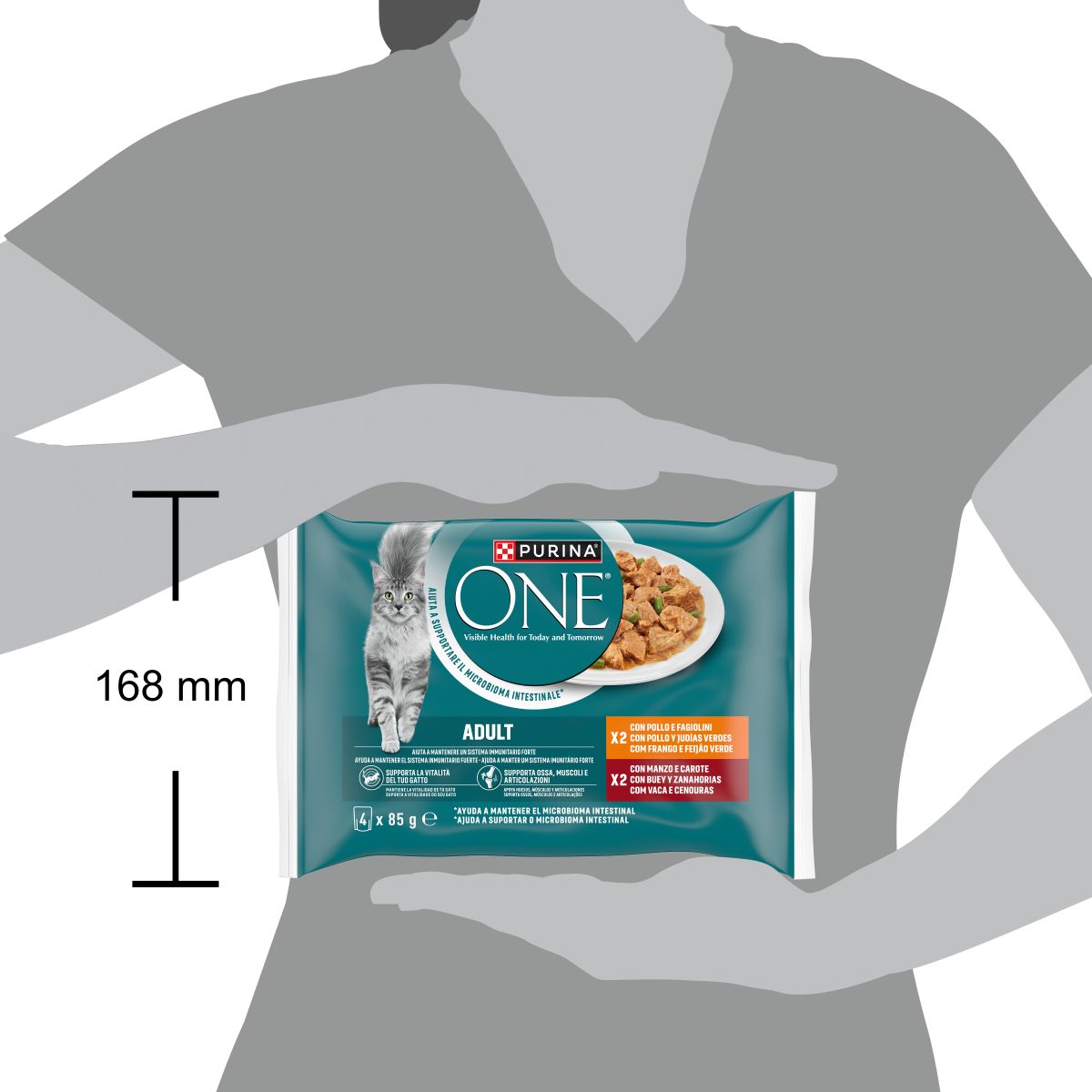 Purina ONE Bifensis Adult 4x85g Pollo e Manzo