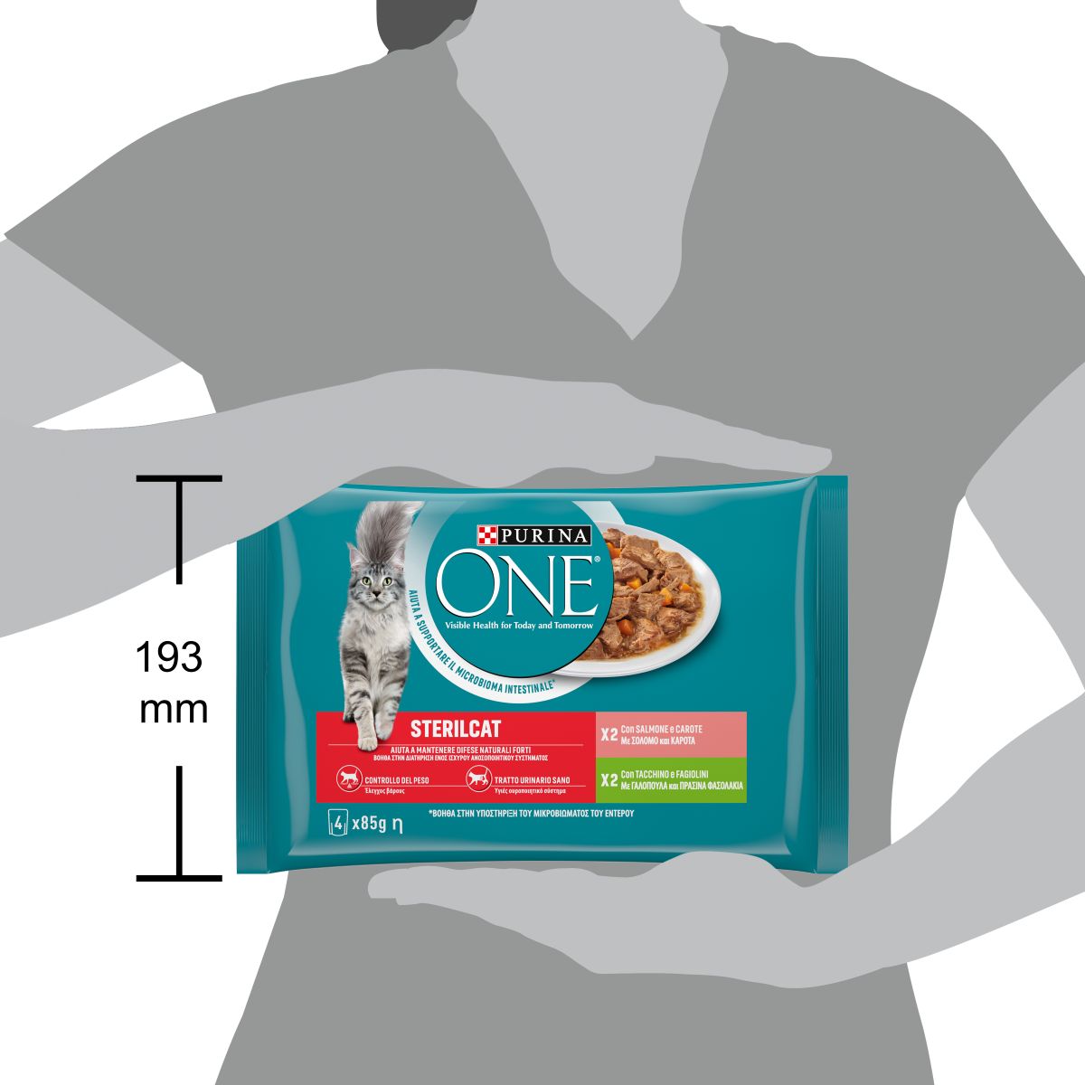 PURINA ONE® STERILCAT Filettini in Salsa con Salmone e Carote, Tacchino e Fagiolini