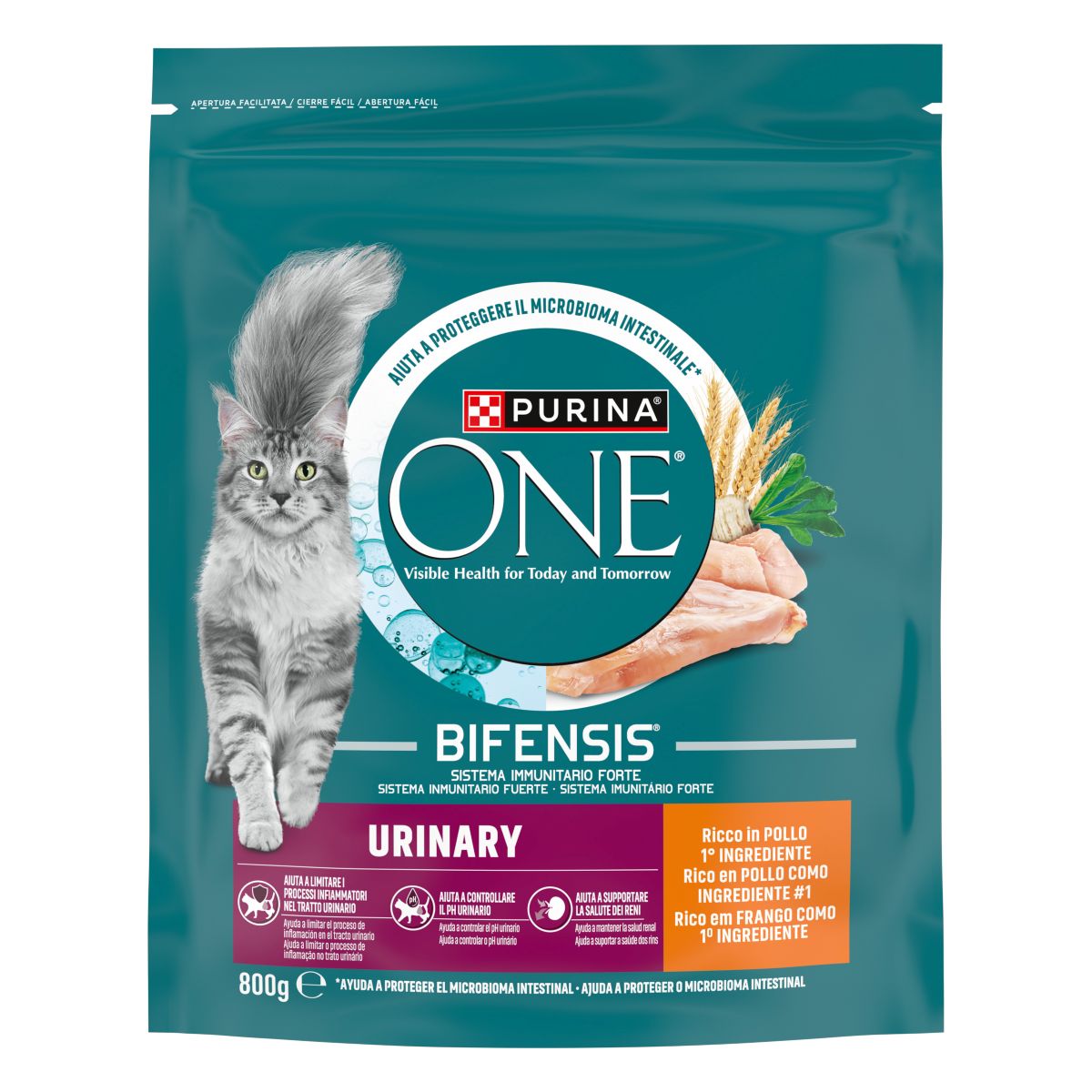 PURINA ONE® Urinary Care, Ricco in Pollo