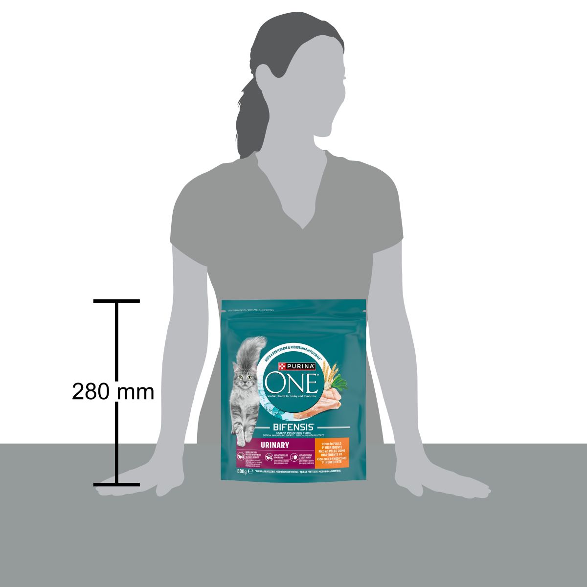 PURINA ONE® Urinary Care, Ricco in Pollo