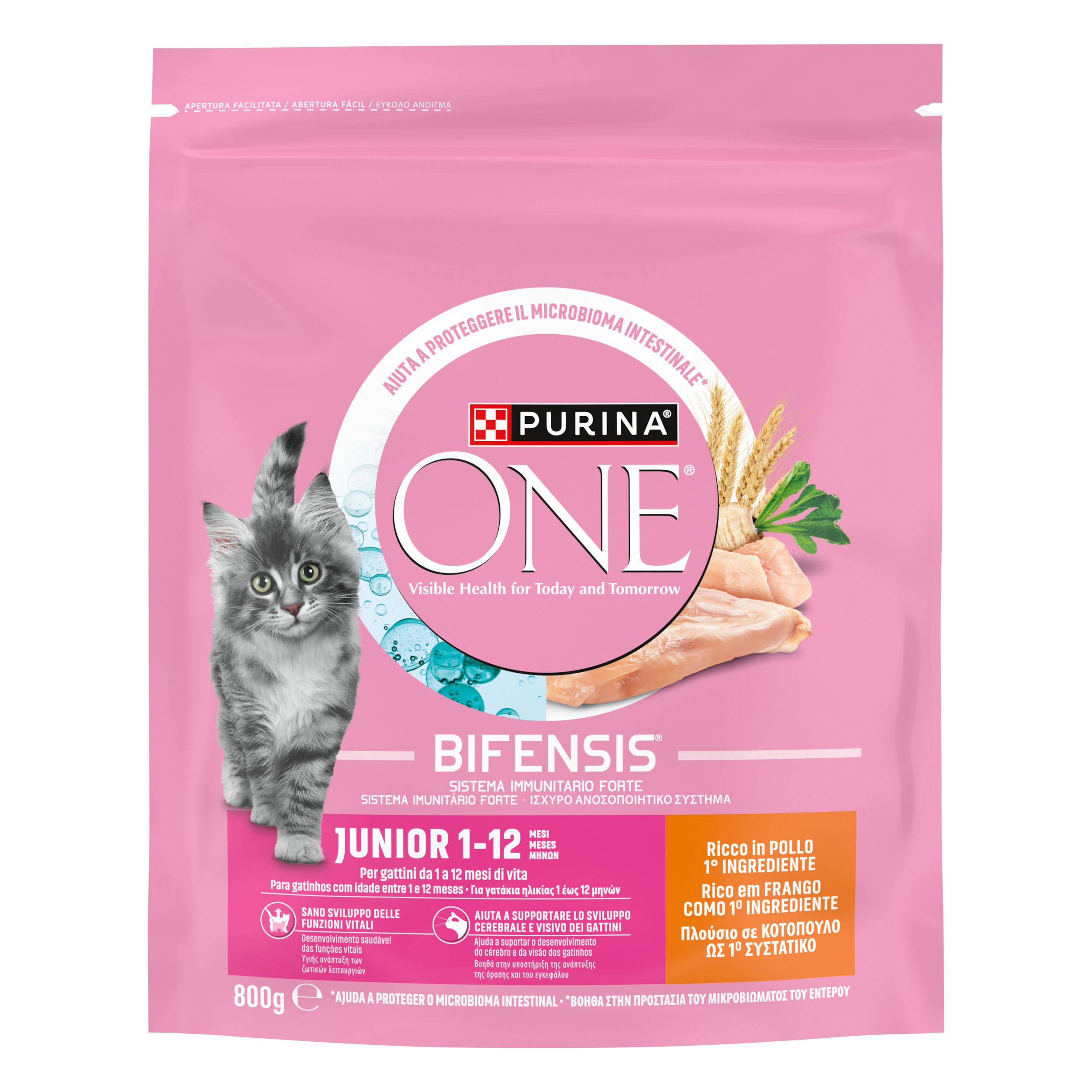 PURINA ONE® ® Junior 1-12 mesi, Ricco in Pollo