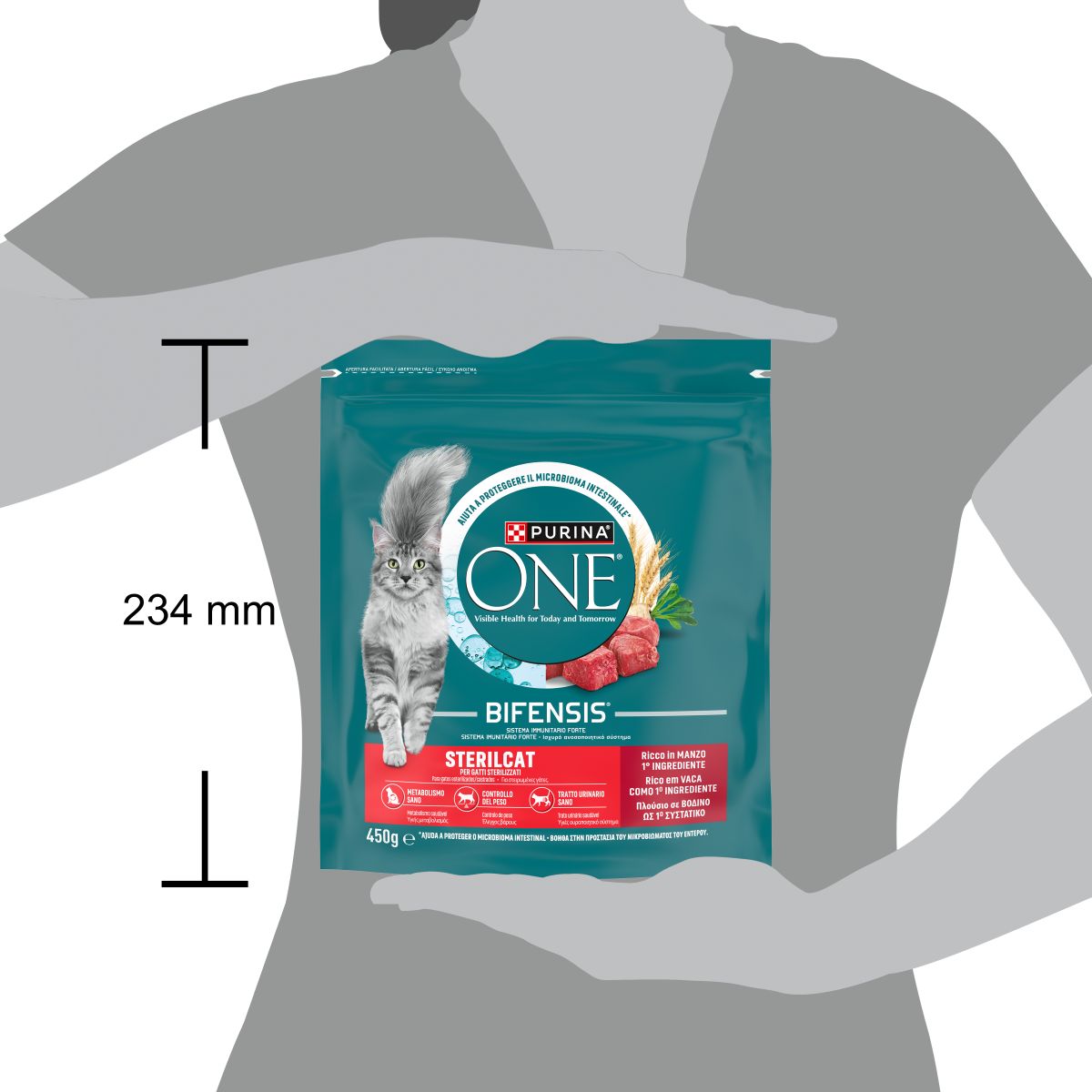 PURINA ONE® Sterilcat, Ricco in Manzo