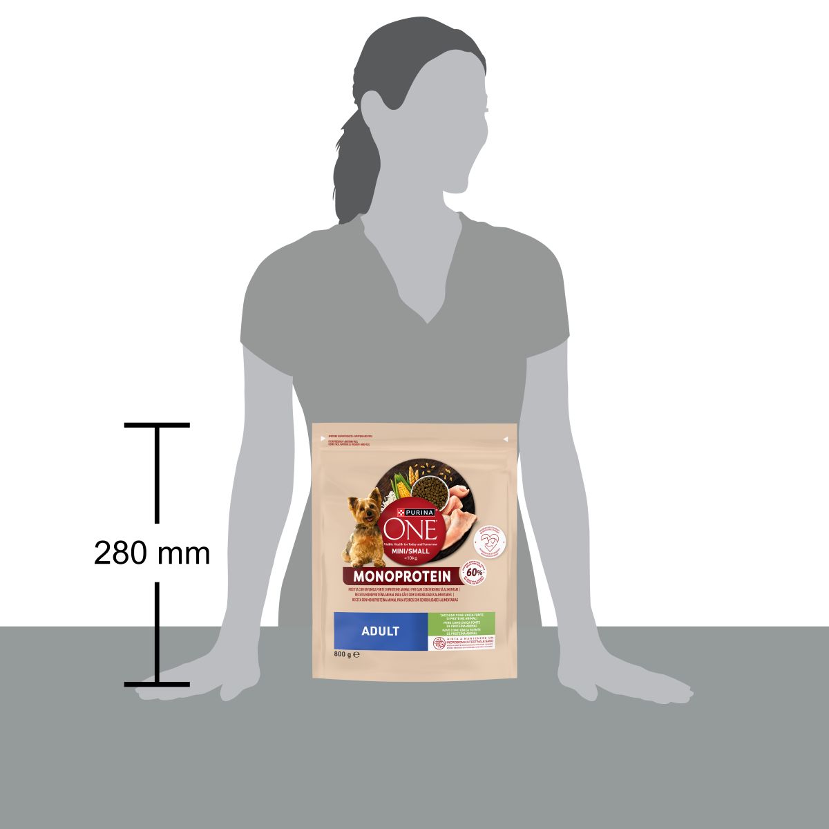 Purina ONE MINI Monoprotein 800g Tacchino 
