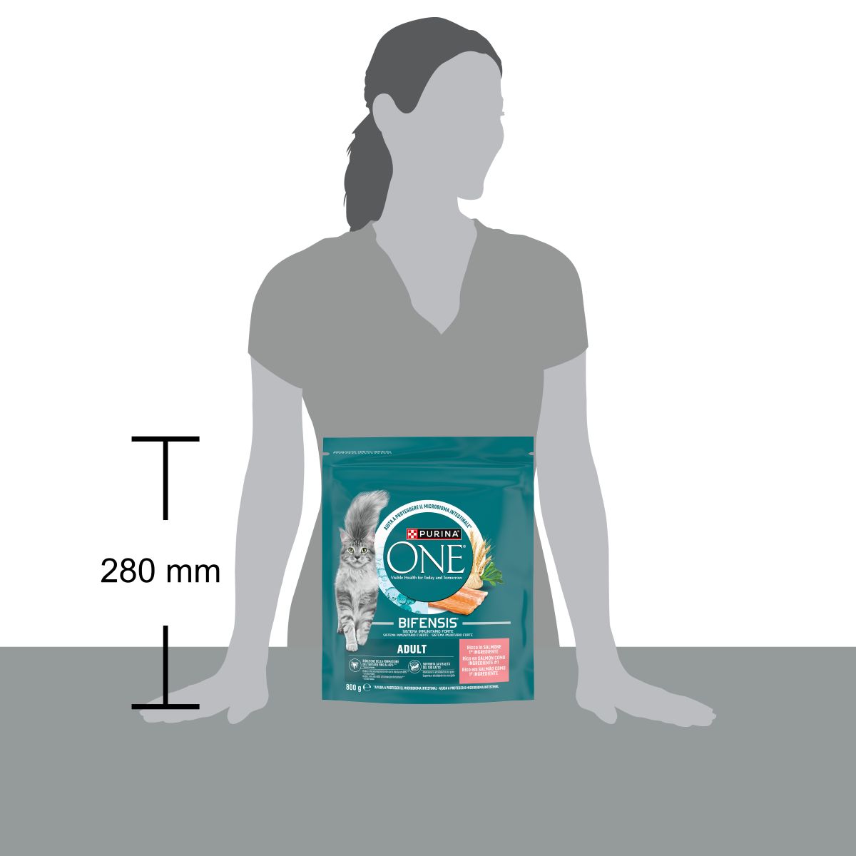 PURINA ONE® Bifensis® Adult Salmone e Cereali Integrali 800g