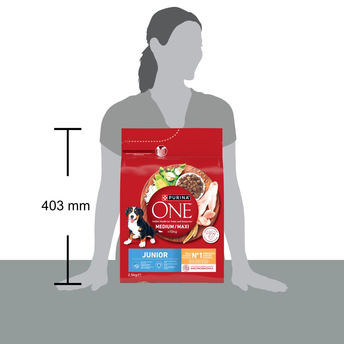 PURINA ONE®&nbsp;Medium / Maxi&nbsp;> 10kg&nbsp;Junior Ricco in&nbsp;Pollo con Riso