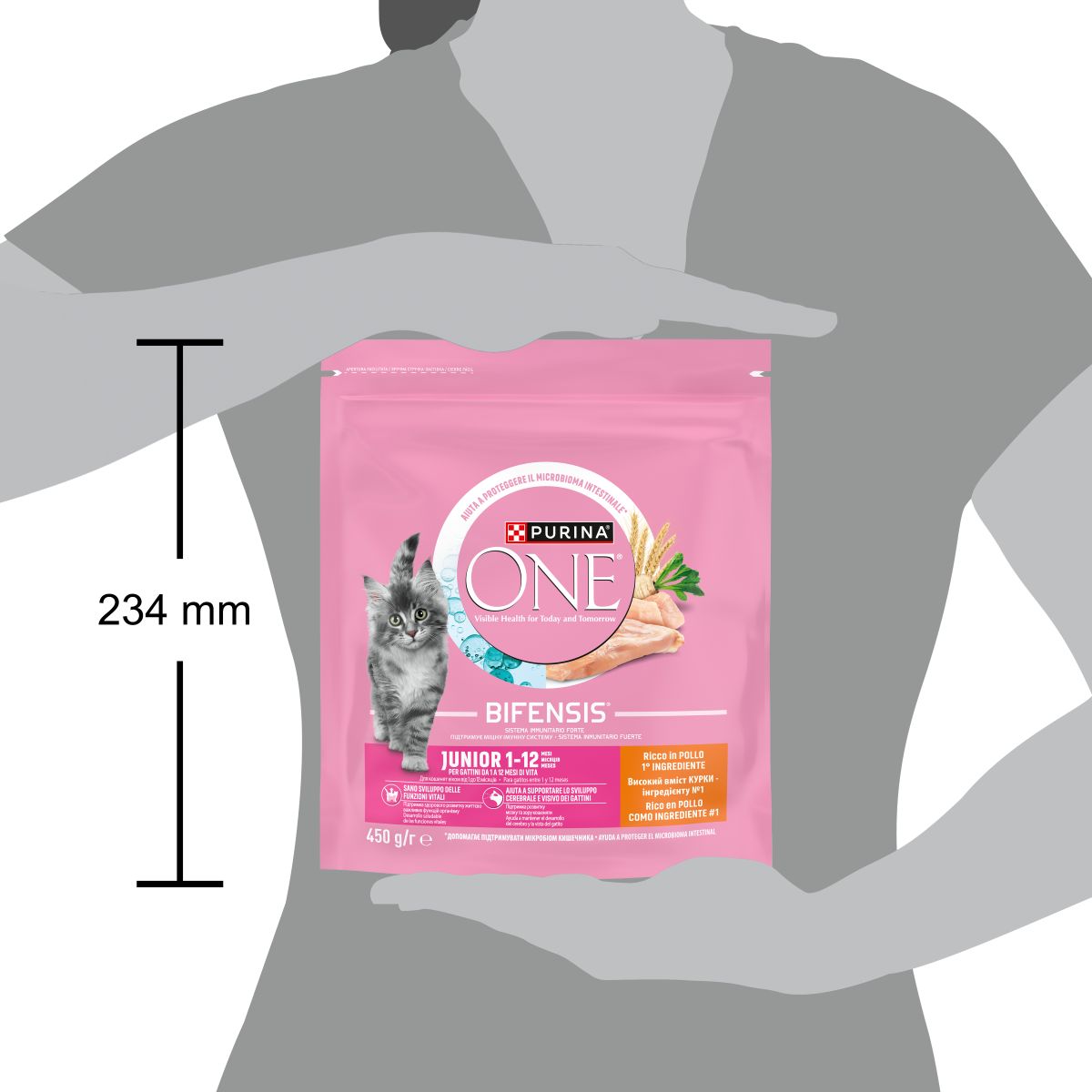Cibo secco per gatto junior – Purina ONE® Ricco in Pollo e Grano Integrale 450 g
