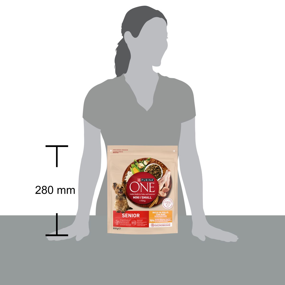 PURINA ONE® ® MINI/SMALL < 10kg Senior 8+, Ricco in Pollo con Riso