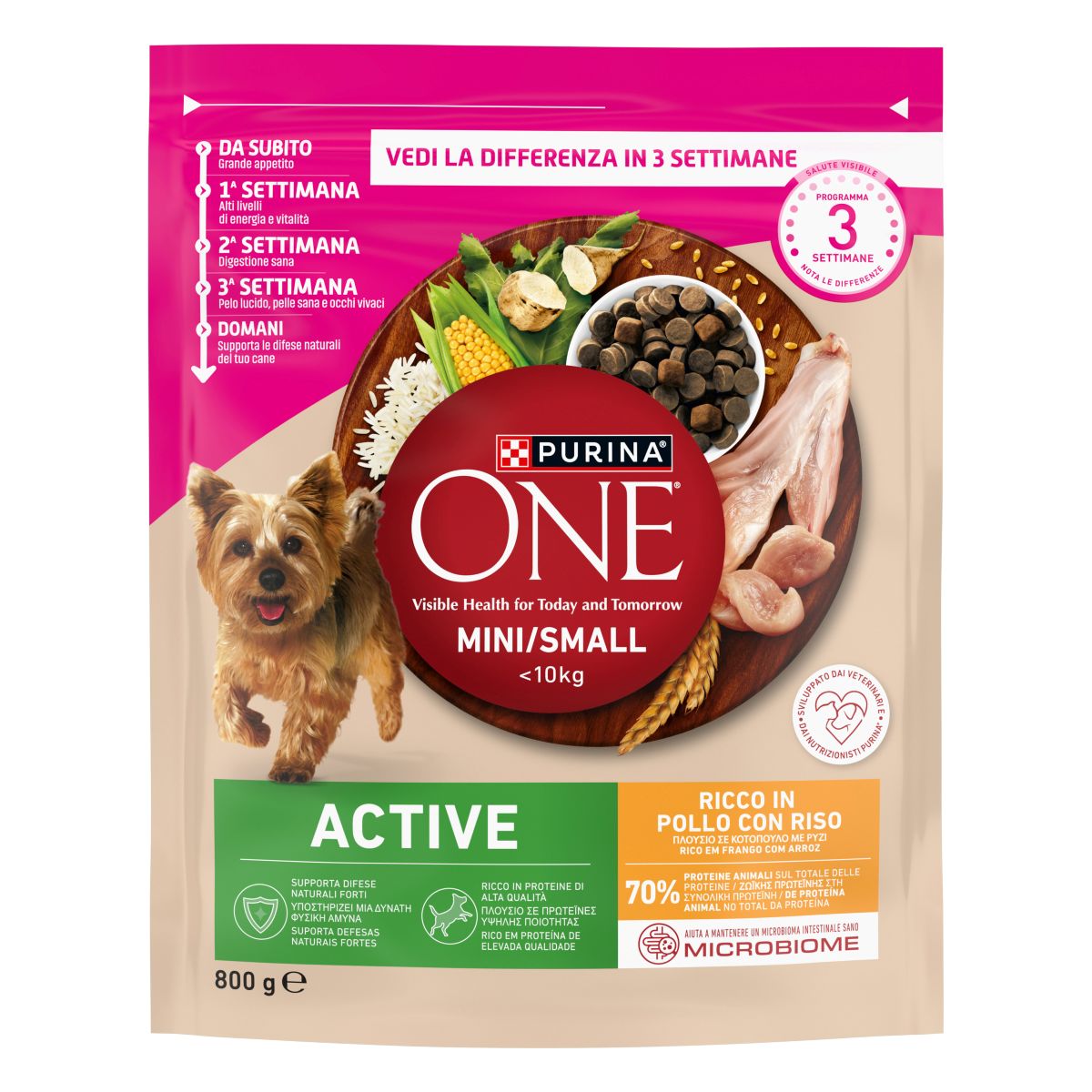 PURINA ONE® MINI/SMALL < 10kg Active Ricco in Pollo Con Riso