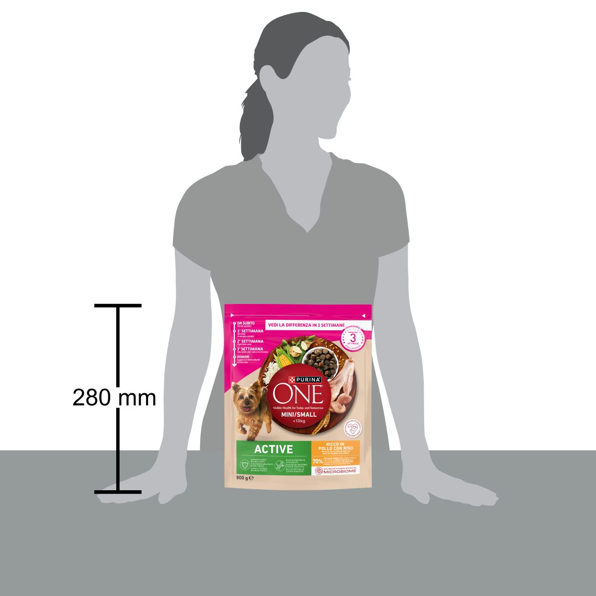 PURINA ONE® MINI/SMALL < 10kg Active Ricco in Pollo Con Riso