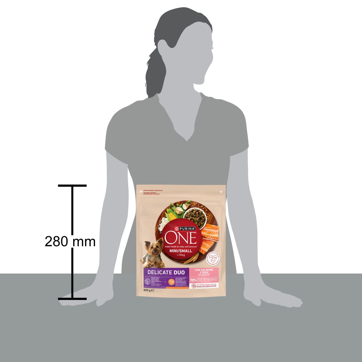 Purina ONE MINI Delicate Duo 800g Salmone e Riso