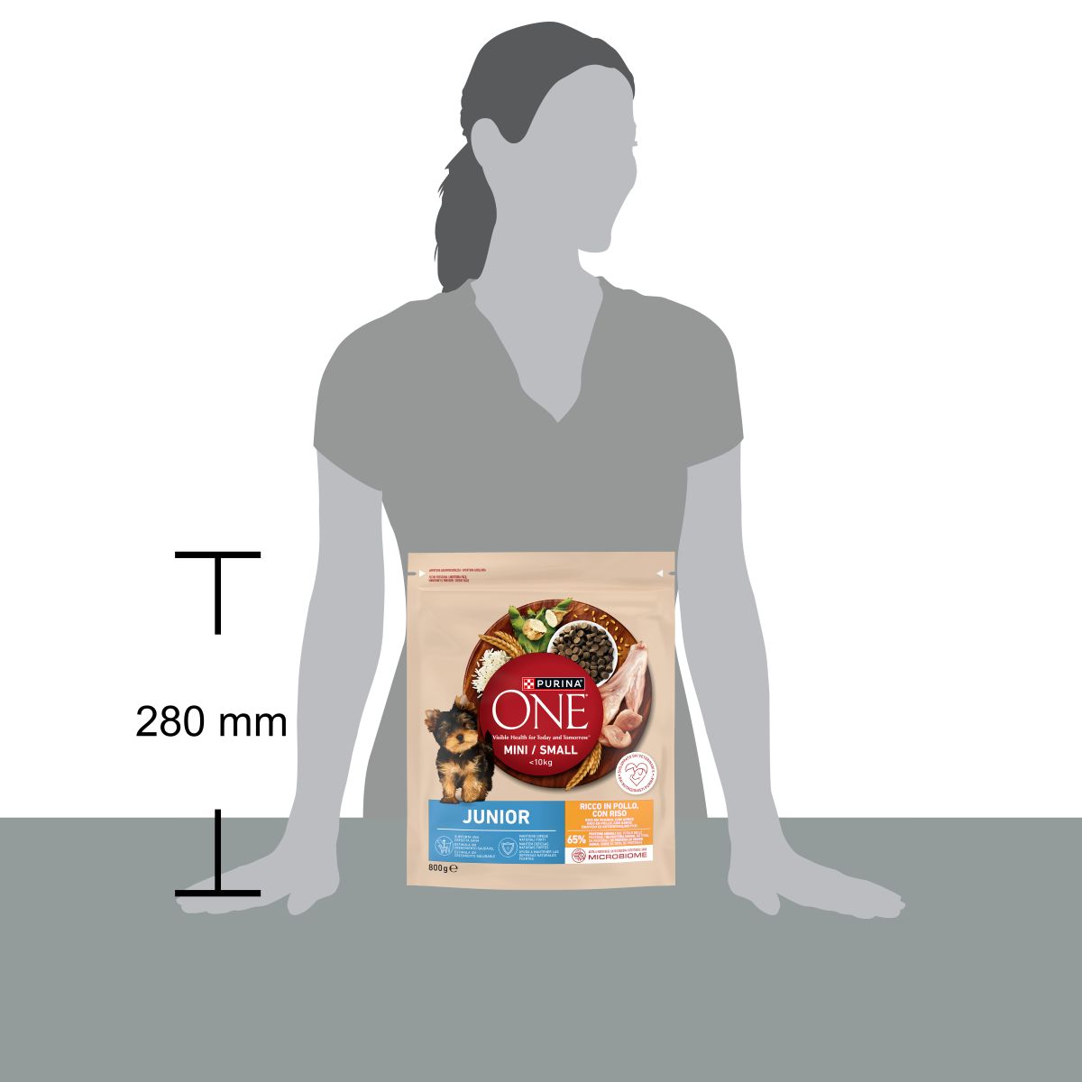 PURINA ONE® MINI/SMALL < 10kg Junior Ricco in Pollo con Riso