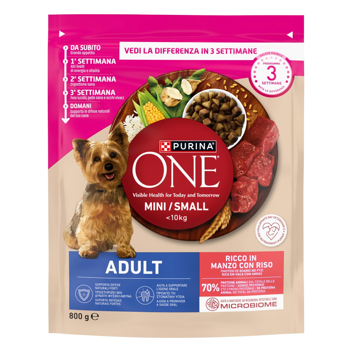PURINA ONE® MINI/SMALL < 10kg Adult Ricco in Manzo, Con Riso