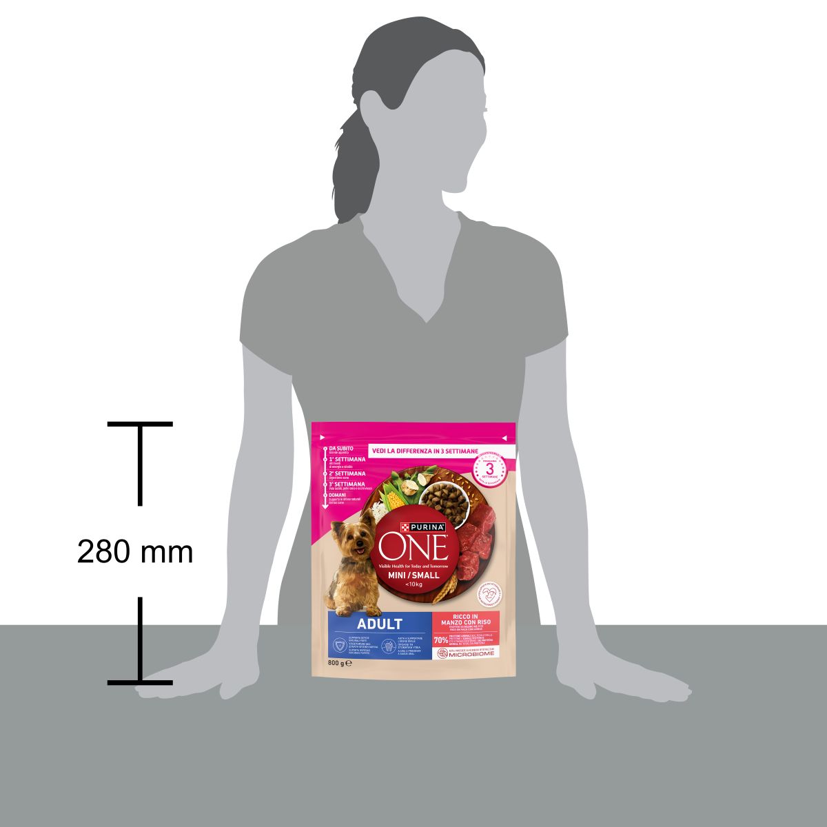 PURINA ONE® MINI/SMALL < 10kg Adult Ricco in Manzo, Con Riso