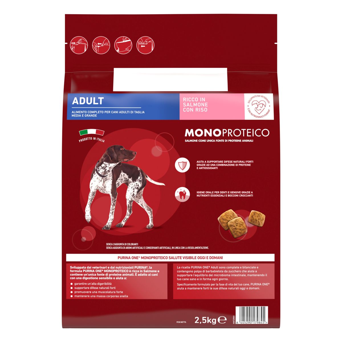 Purina ONE® Dog Adult Monoproteico Ricco in Salmone con Riso
