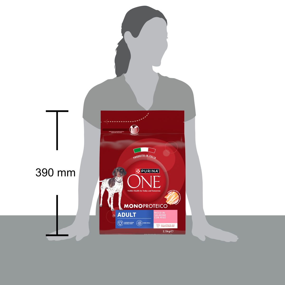 Purina ONE® Dog Adult Monoproteico Ricco in Salmone con Riso
