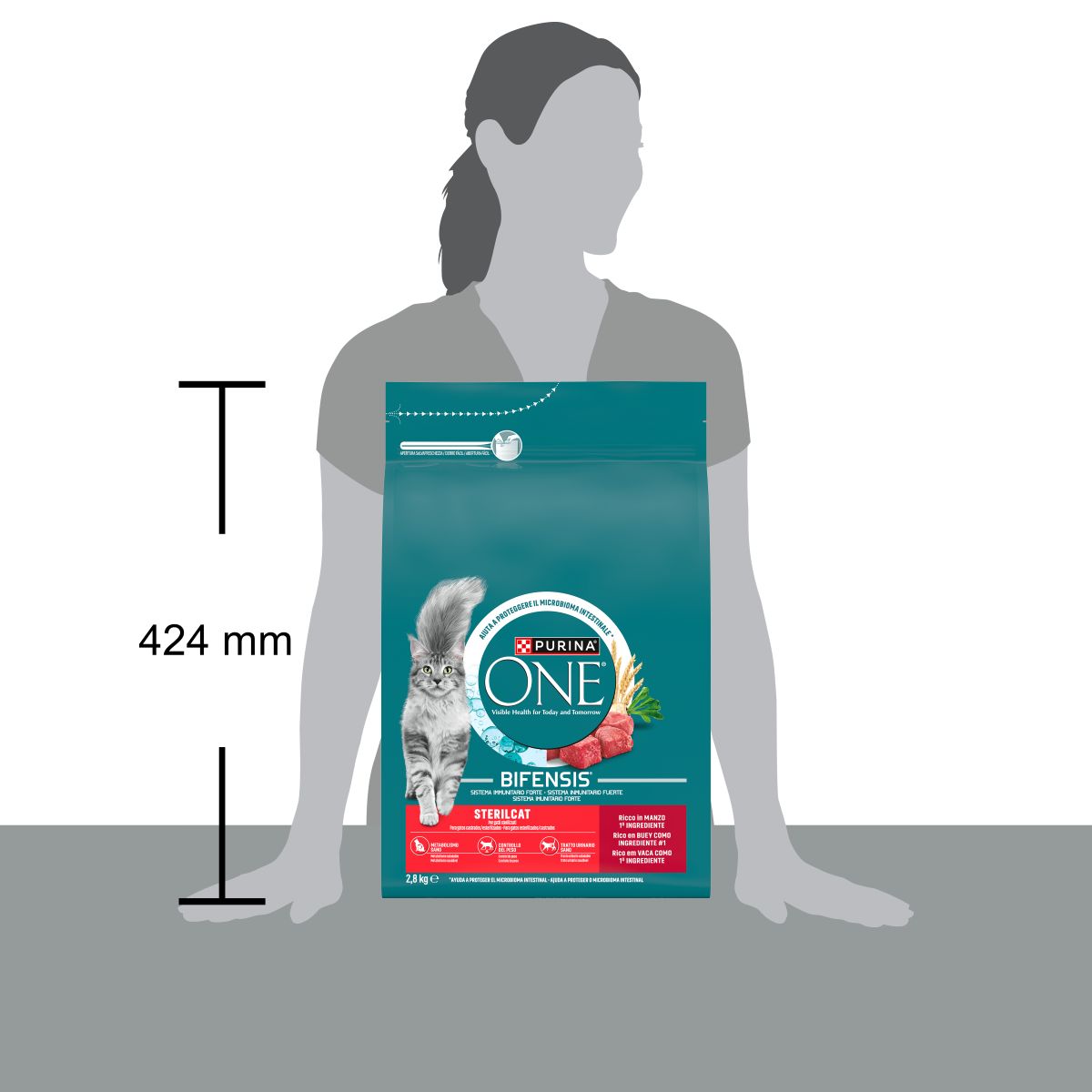 PURINA ONE® Sterilcat, Ricco in Manzo