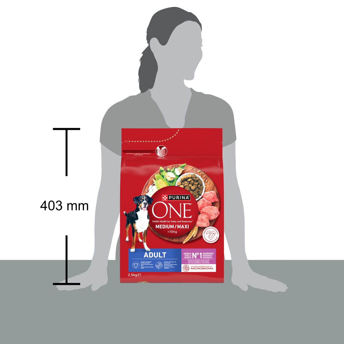 Purina ONE Medium / Maxi > 10kg Adult Ricco in Agnello con Riso