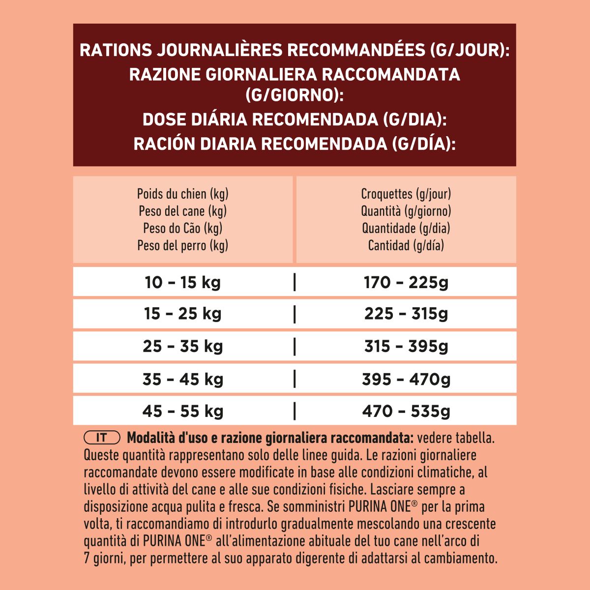 Purina ONE Medium / Maxi > 10kg Adult Ricco in Agnello con Riso